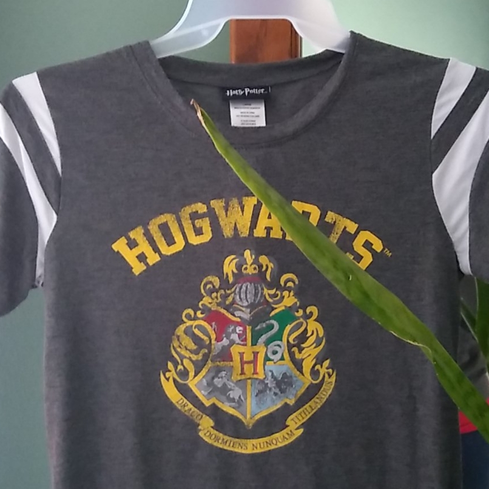 Harry Potter Hogwarts pullover jersey